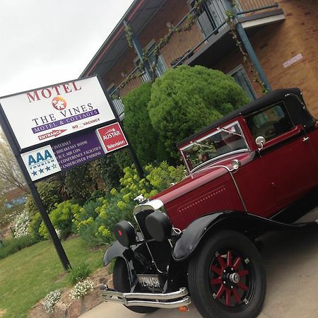 The Vines Motel & Cottages Stanthorpe Buitenkant foto