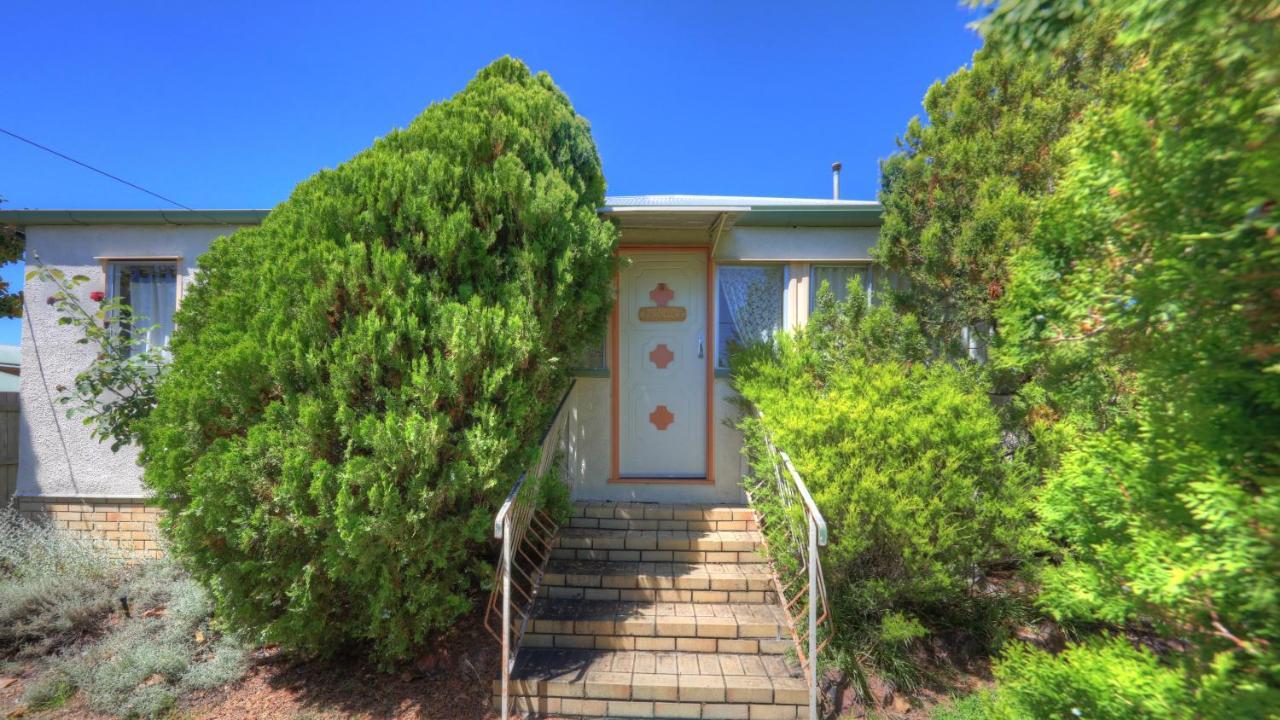 The Vines Motel & Cottages Stanthorpe Buitenkant foto