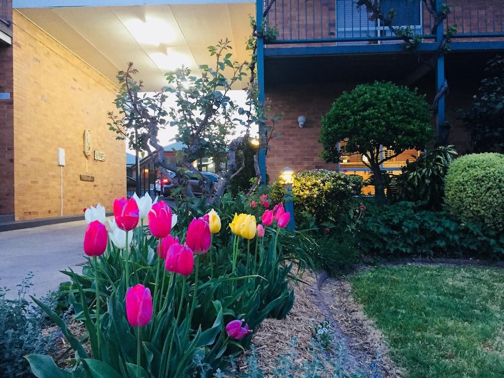 The Vines Motel & Cottages Stanthorpe Buitenkant foto